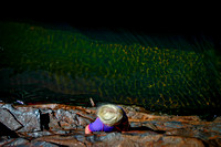 20040914 Karijini NP, WA