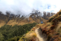 New Zealand, 2016