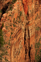 Zion NP, 2013